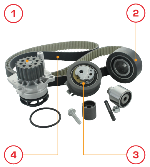 AIRTEX Kit de distribution + pompe à eau WPK-171501