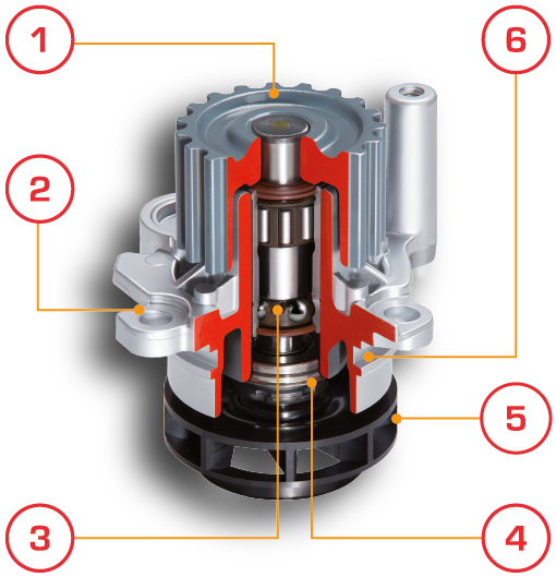 Wasserpumpen  Airtex Products, S.A.U, (Zaragoza, España)